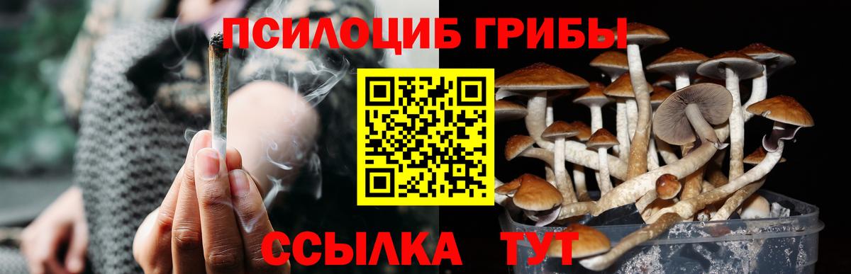 Псилоцибиновые грибы Magic Shrooms  купить наркотик  Тихорецк  Вход с VPN 